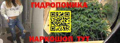 дживик Гусев