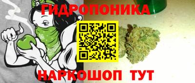 прущие грибы Гусь-Хрустальный